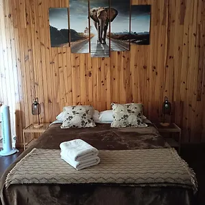 https://coffeebed-tenerife-dreams.tenerifehoteles.net